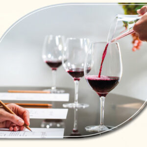 SPECIALE PERCORSO VINO